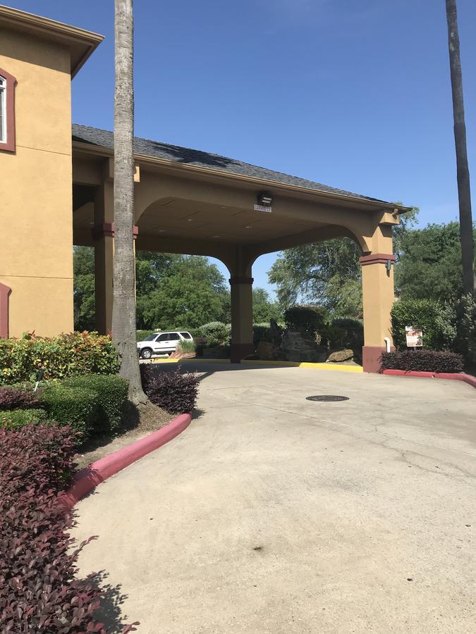 Camelot And Hotel Aldine